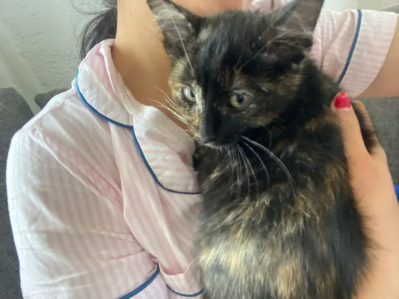 Bella tenia dos meses de vida